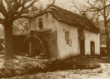 La Cotte Farm: Three Centuries in the Valley