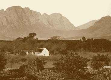 Franschhoek’s Old Cemetery: Reading the Valley’s History in Stone